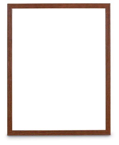 22 x 28" Hardwood Poster Displays with Lens