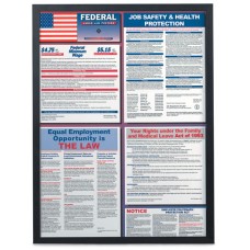 14 x 11" Changeable Poster Frame