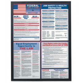 22 x 28" Changeable Poster Frame (Plexiglass Option)