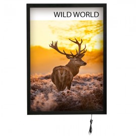 Magnetic Frame LED Back Lit, 22" X 28", Black 